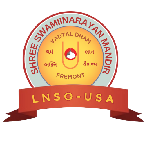 LNSO Logo